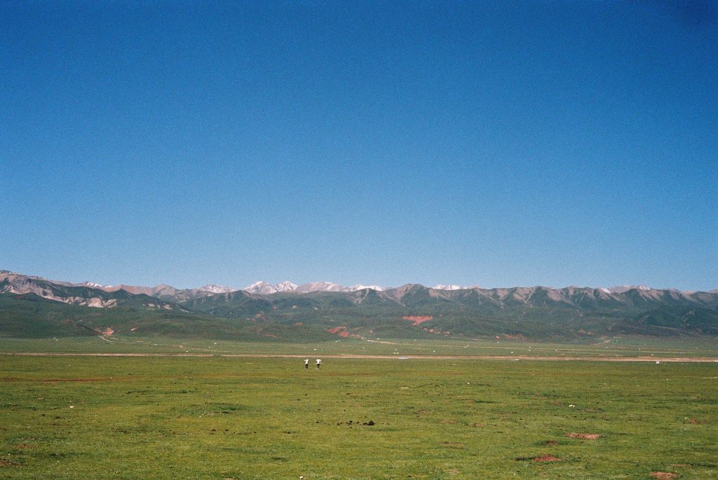 grasslands